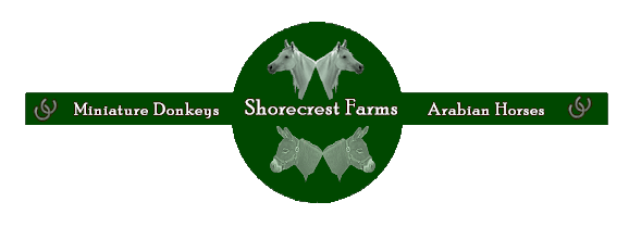 Shorecrest Farms