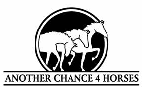 Another Chance 4 Horses  ~ A Nationwide Community Rescue