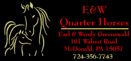 E&W Quarter Horses