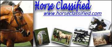 www.horseclassified.com (10,794 bytes)