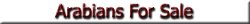 Arabians For Sale