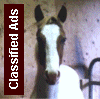 CRHorse.com (8042 bytes)