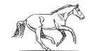 Please visit our horse and pony pages!